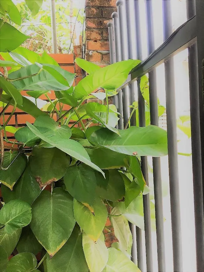 Hostel Delistay Da Nang Vietnam